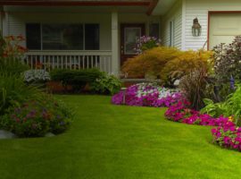 Green Grass