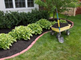 garden-mulch